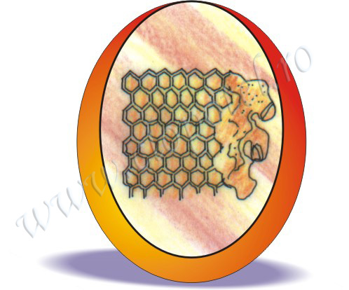 Honeycomb